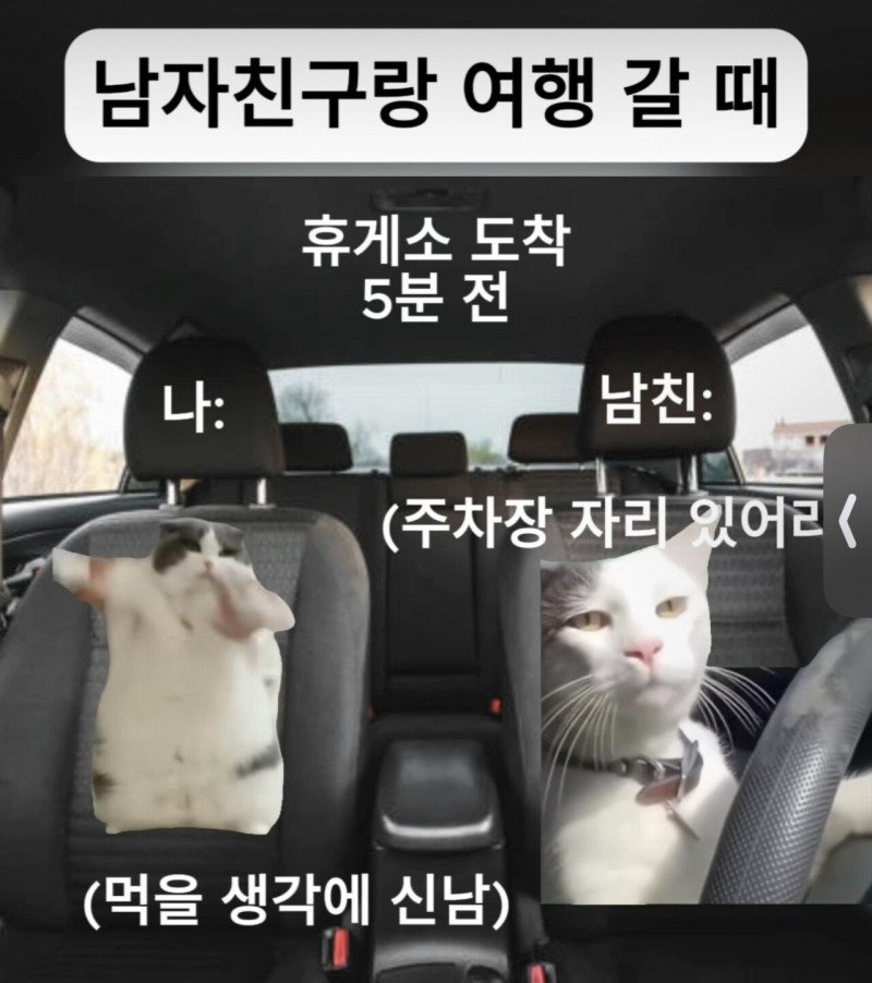 734a603755643e8ab7390e31040d4d01_1724648967_5148.jpeg